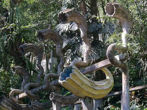 Tours la Huasteca Potosina Xilitla