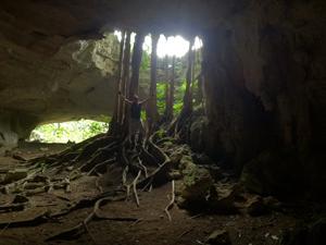 Rappel en la Huasteca Potosina