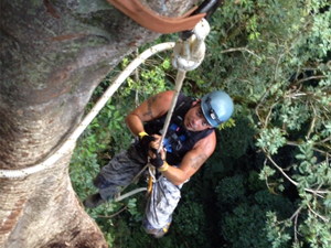 Rappel en la Huasteca Potosina