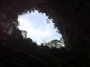 Sotano de las Golondrinas la Huasteca